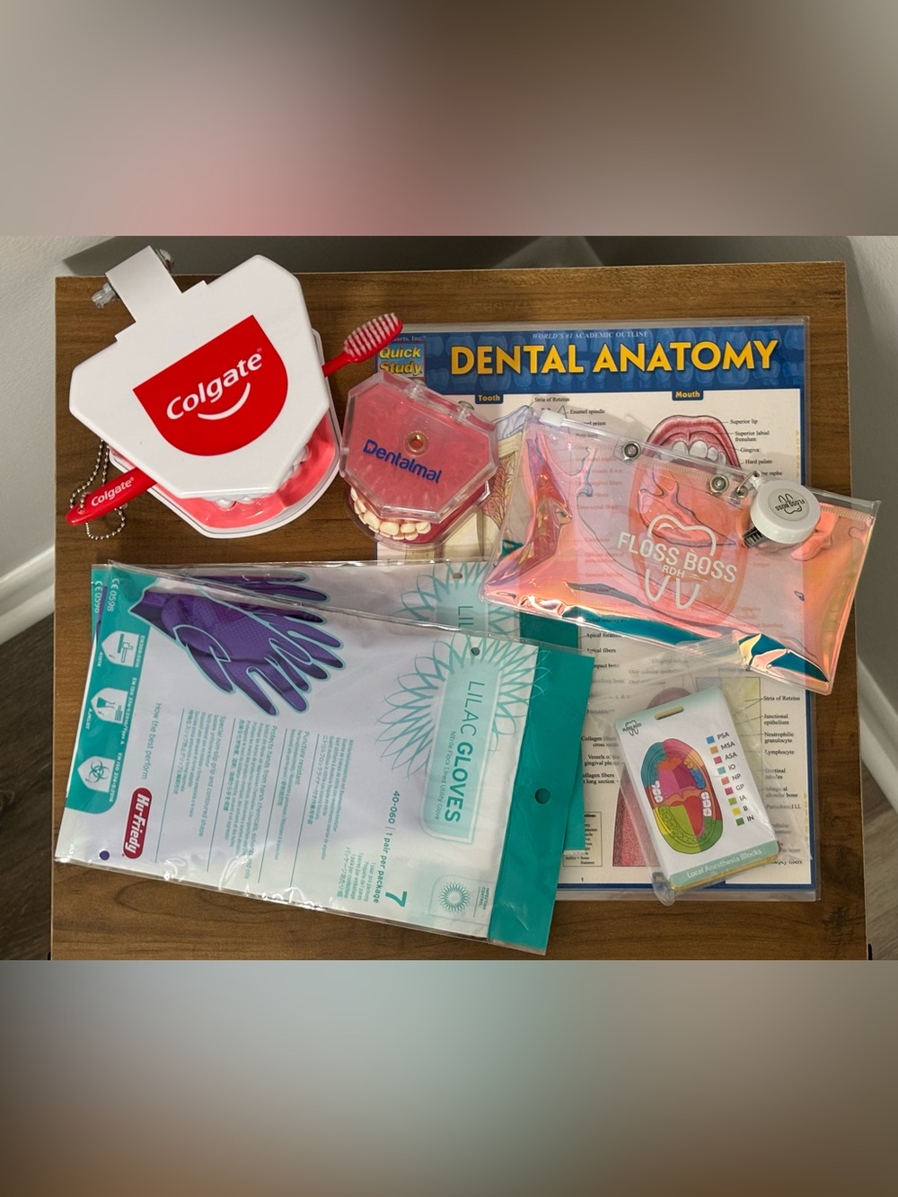 Dental Hygiene Student Typodonts & Starter Kit